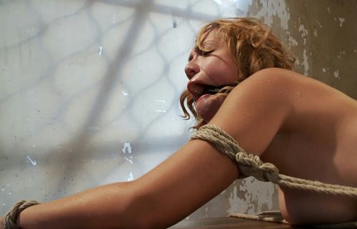 Follow us ♥ BallGaggedBitches

Click for more ♥ Ball Gagged...