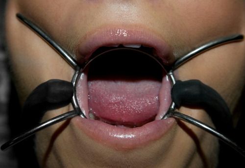 Follow us ♥ BallGaggedBitches

Click for more ♥ Ball Gagged...