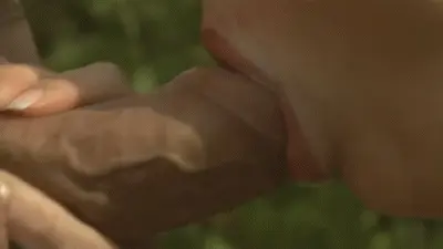 I need a good cock sucking