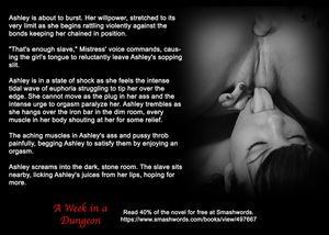 lesbian dungeon - Erotic Text Story