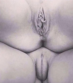 The 2 types (extreme contrasts) of Vagina