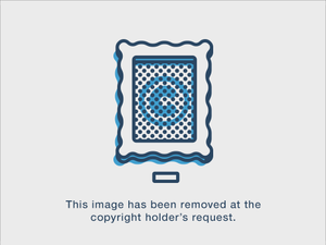 Hot and Sexy Fat Chicks Pics