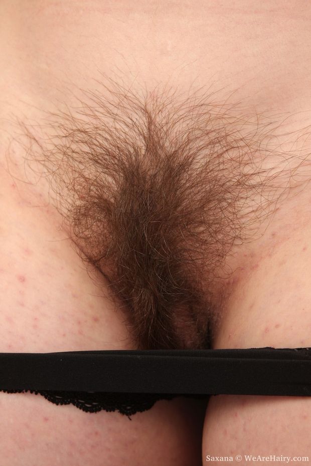 Mature pussy.