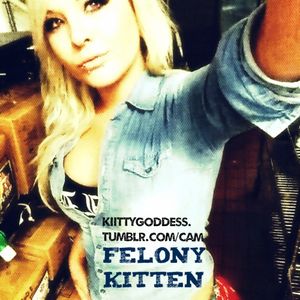 Will This Kitten Survive Kiitty Goddess?I found her in a bar....