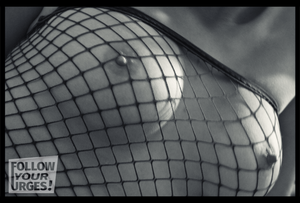 Impressions of a playful evening