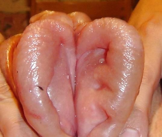 Pumped pussy pic