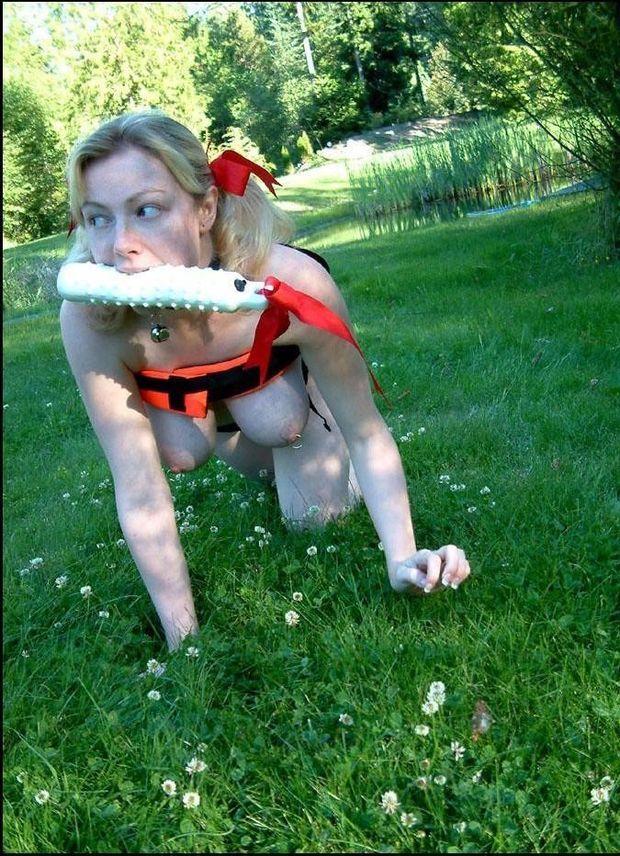 she always brought her master her favourite toy to play with