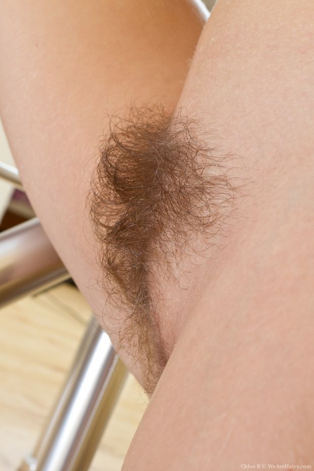Close-up images of furry minge.