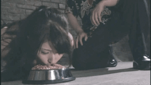 f1lth5:Feed them…healthy pet = better service