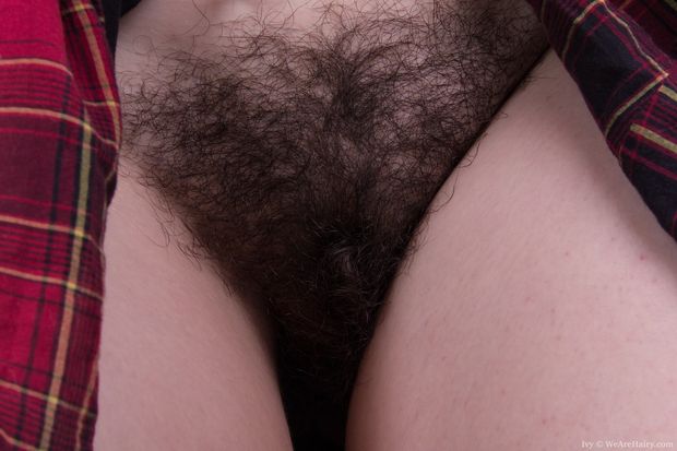 Free closeup images of hairy mons pubis.