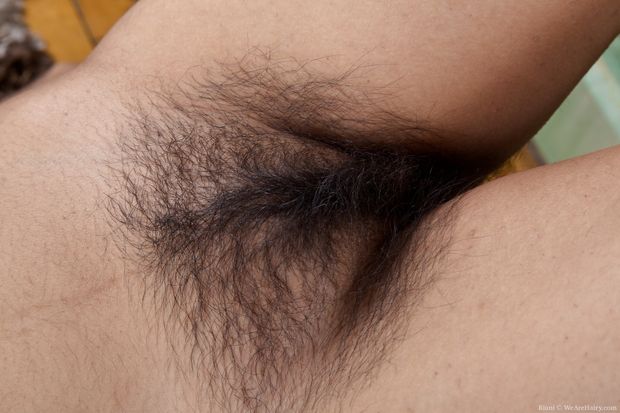 Closeup photos of very hairy pussy.