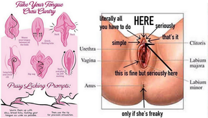 Eating - right spots, right technique