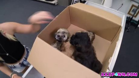 Puppies At The Pawnshop Will Not Do