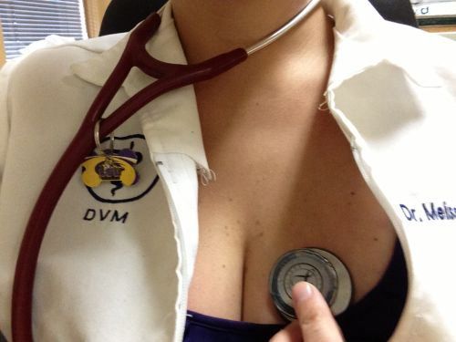 DVM