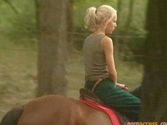 Sex on a horse