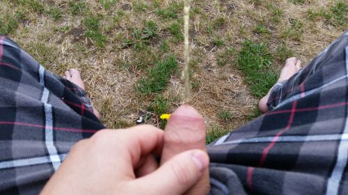 amatorurina:

Submission 1 from