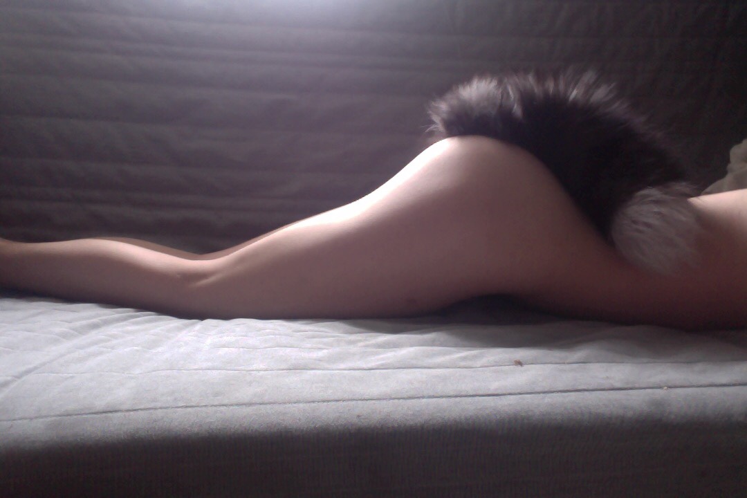 Foxtailed butt