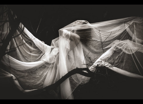 Soft Screams Magazine presents Erotic Gallery II the softer side of sensuality of Erotic and Fine Art photography
