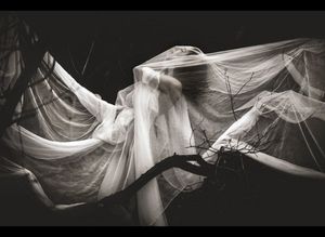 Soft Screams Magazine presents Erotic Gallery II the softer side of sensuality  of Erotic and Fine Art photography