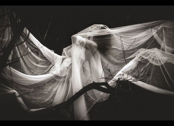 Soft Screams Magazine presents Erotic Gallery II the softer side of sensuality  of Erotic and Fine Art photography