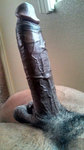 polla enorme negra