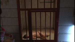 sampling the sex slaves via /r/collared...