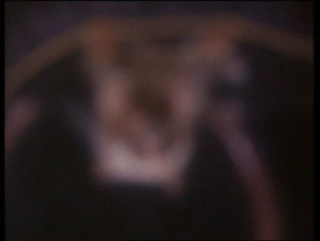 Une Villa a la Campagne