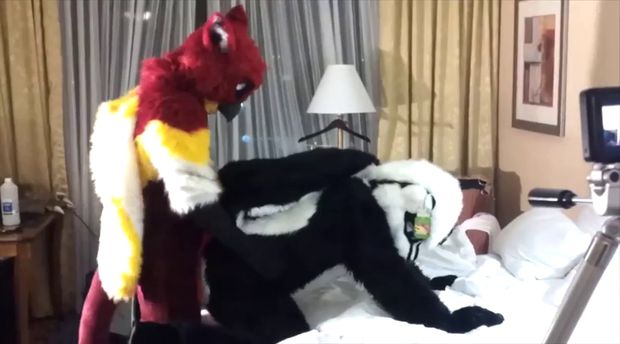 fursuit fucks