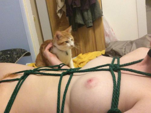 Desperate for Sir, and a bonus pussy via /r/BDSMGW...