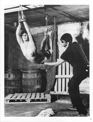 Classic Suspension Bondage