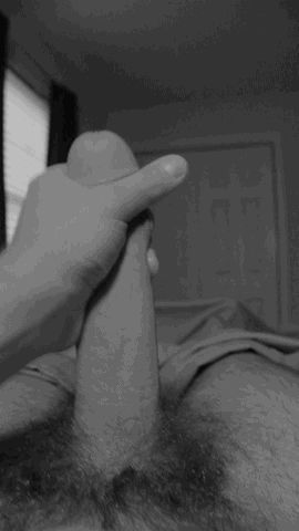 Excellent Cock-Tailsyesbigandlong:kik: yesbigandlong