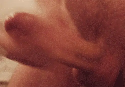 Excellent Cock-Tails