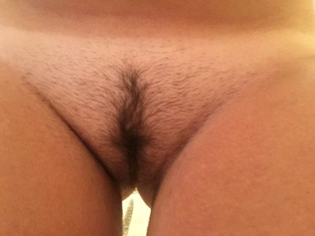 Still love for the little bush?