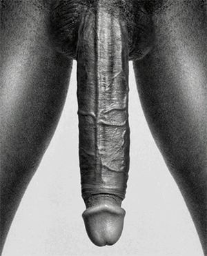 whitepussyblackcock.tumblr.com