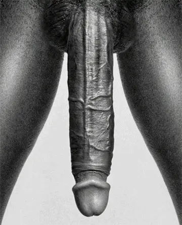 whitepussyblackcock.tumblr.com