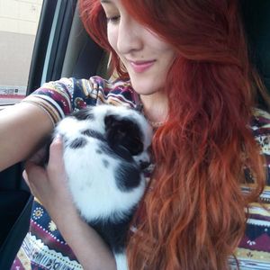 more than not less than ?