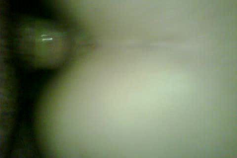 anal con mi novia
