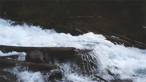 Sexy Full HD Tranny XXX Pix