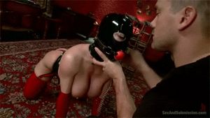 hucowfarmer:“What a good girl”