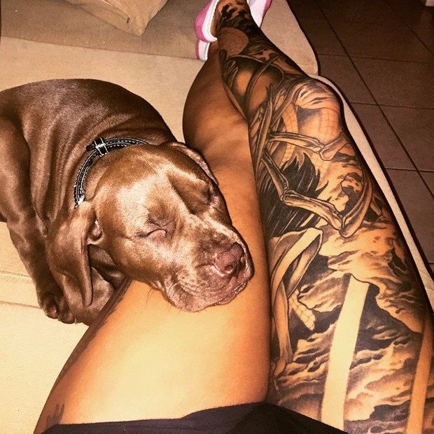 Young inked girl  having fun with her cute dog very sexy tattoo on left leg