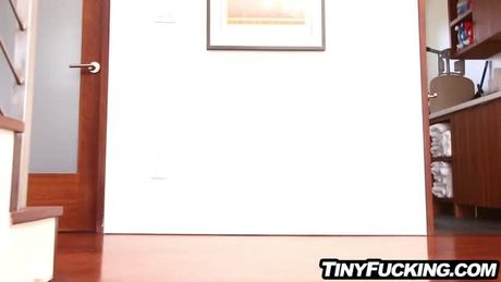 Fucking the babysitter