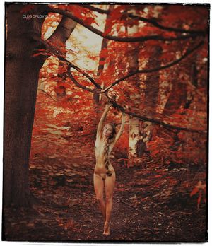 shamelessocean:source