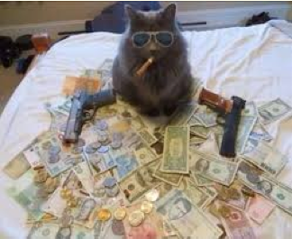I guess this is the “will give you bad luck if crosses in front of you” cat.