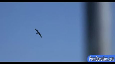 Pretty teen girl Alina West asshole pounded in the yacht