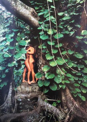 Jerry Derbyshire, 1948-1989