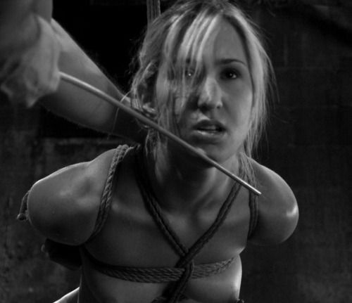 follow me  and reblog for...