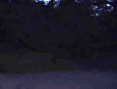 uk slut wife tanya goes dogging