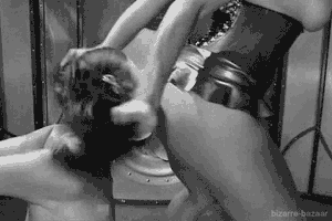 Grabbing her by the hair