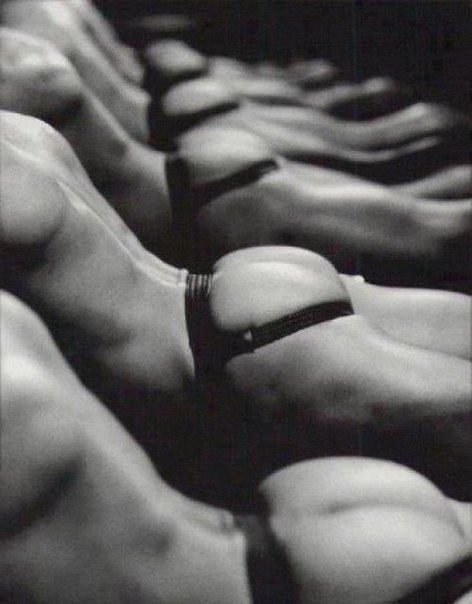 follow me  and reblog for...