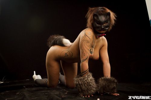 Nice pet